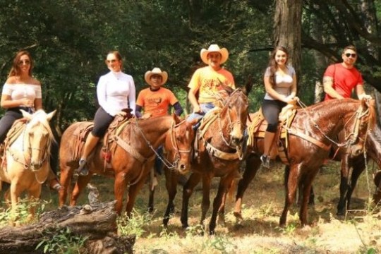 a group of people riding on the back of a horse