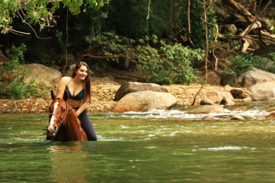 a small elephant walking along a river next to a body of water