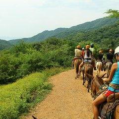 a person riding a horse on a dirt road