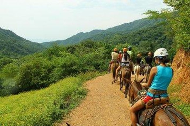 a person riding a horse on a dirt road