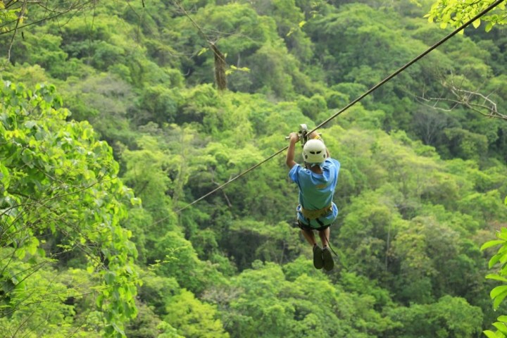 a person standing on a lush green forest
