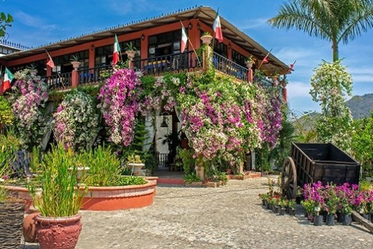 a colorful flower garden in front of a building