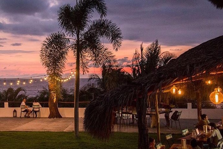 a group of palm trees and buildings in the background