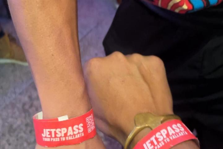 a close up of a person holding a dog